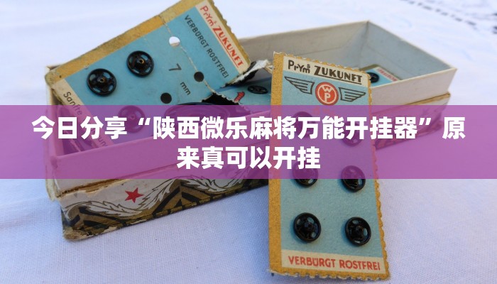 今日分享“陕西微乐麻将万能开挂器”原来真可以开挂