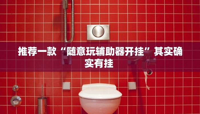 推荐一款“随意玩辅助器开挂”其实确实有挂 