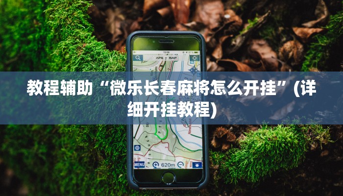 教程辅助“微乐长春麻将怎么开挂”(详细开挂教程)
