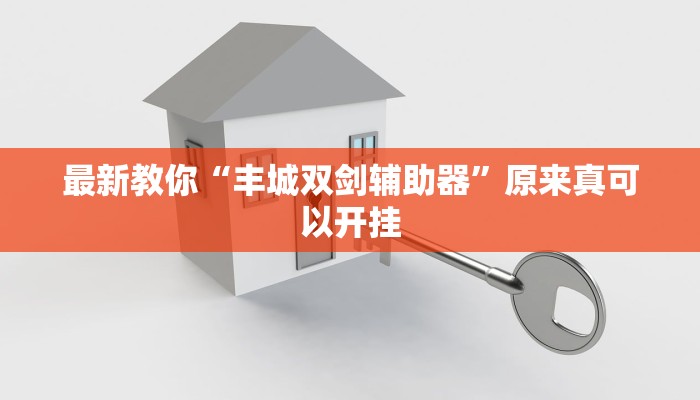 最新教你“丰城双剑辅助器”原来真可以开挂