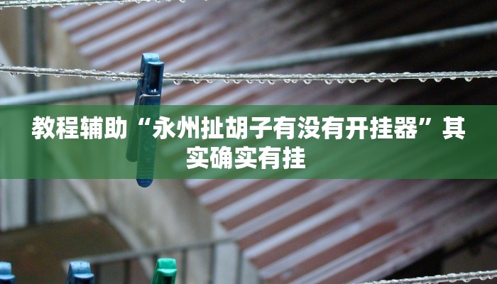 教程辅助“永州扯胡子有没有开挂器”其实确实有挂 