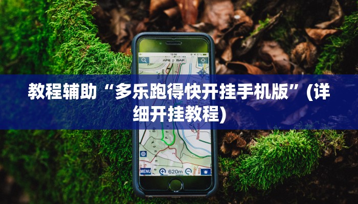教程辅助“多乐跑得快开挂手机版”(详细开挂教程)