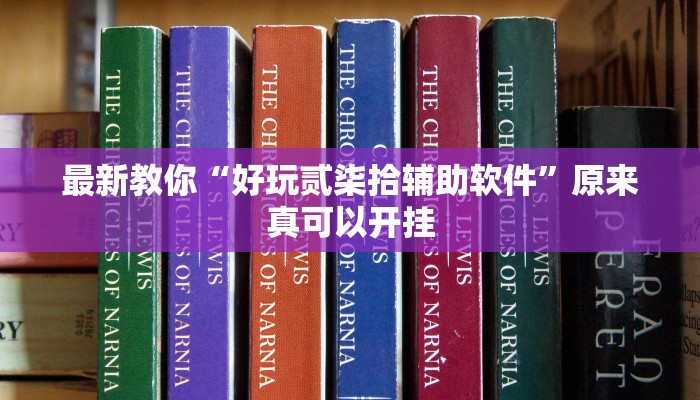 最新教你“好玩贰柒拾辅助软件”原来真可以开挂