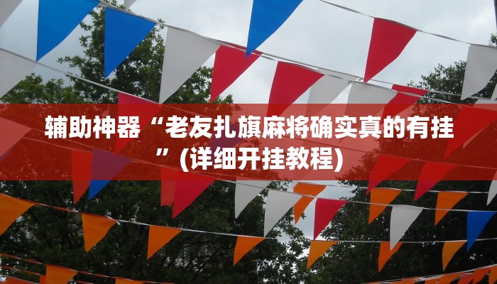 今日分享“方片十三张辅助器下载”原来真可以开挂