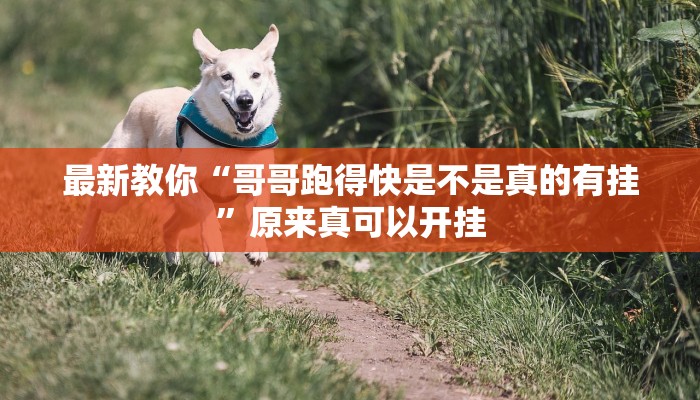 最新教你“哥哥跑得快是不是真的有挂”原来真可以开挂