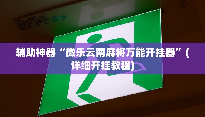 辅助神器“微乐云南麻将万能开挂器”(详细开挂教程)