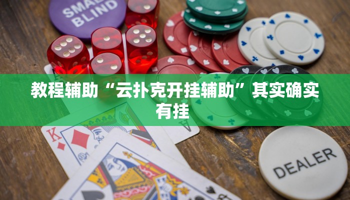 教程辅助“云扑克开挂辅助”其实确实有挂 