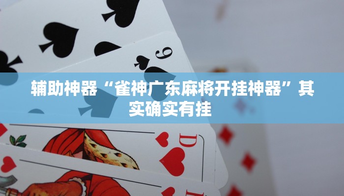 辅助神器“雀神广东麻将开挂神器”其实确实有挂 