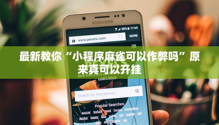 教程辅助“立鸿字牌怎么开挂”其实确实有挂 