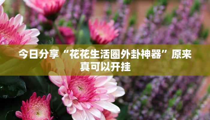 今日分享“花花生活圈外卦神器”原来真可以开挂