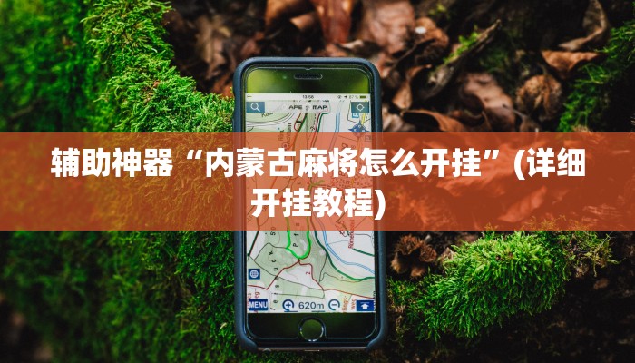 辅助神器“内蒙古麻将怎么开挂”(详细开挂教程)
