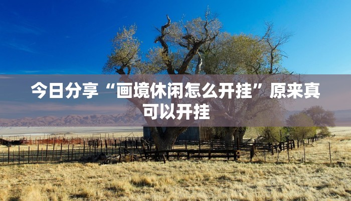 今日分享“画境休闲怎么开挂”原来真可以开挂