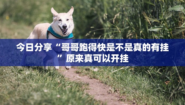 今日分享“哥哥跑得快是不是真的有挂”原来真可以开挂
