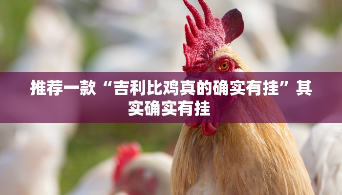 推荐一款“吉利比鸡真的确实有挂”其实确实有挂 