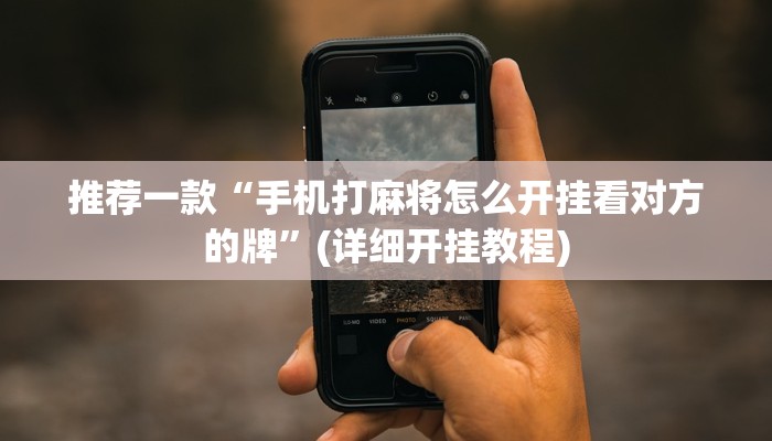 推荐一款“手机打麻将怎么开挂看对方的牌”(详细开挂教程)