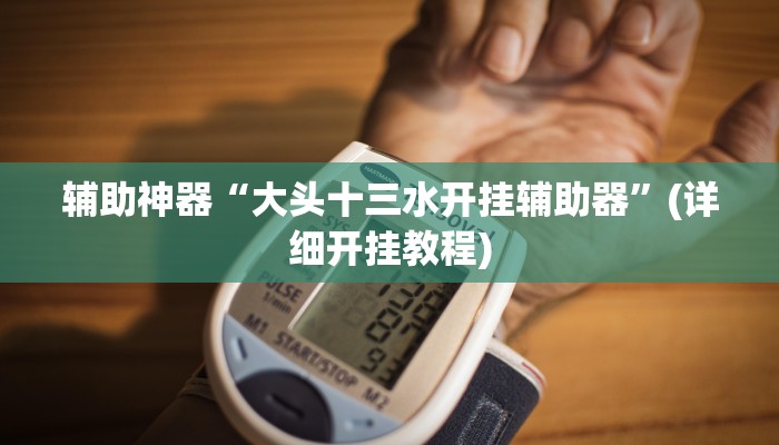 辅助神器“大头十三水开挂辅助器”(详细开挂教程)