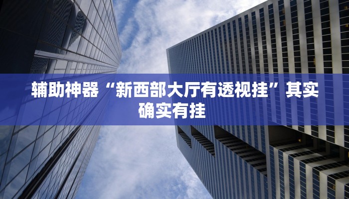 辅助神器“新西部大厅有透视挂”其实确实有挂 