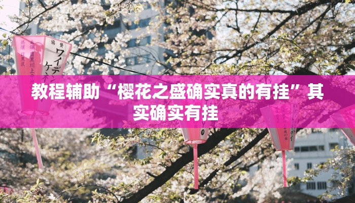 教程辅助“财神十三张开挂神器下载”(详细开挂教程)