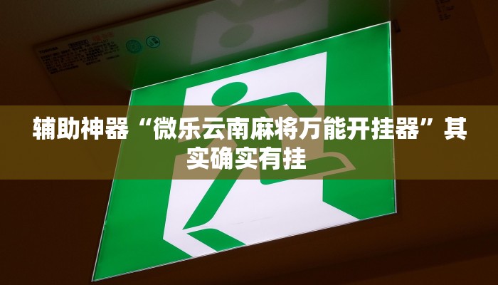 辅助神器“微乐云南麻将万能开挂器”其实确实有挂 