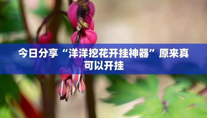 今日分享“洋洋挖花开挂神器”原来真可以开挂