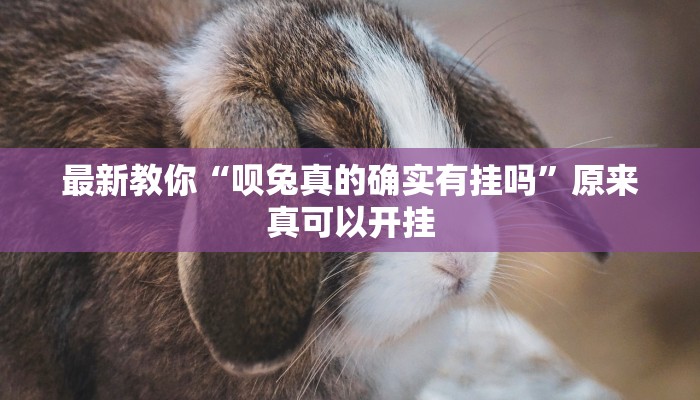 最新教你“呗兔真的确实有挂吗”原来真可以开挂