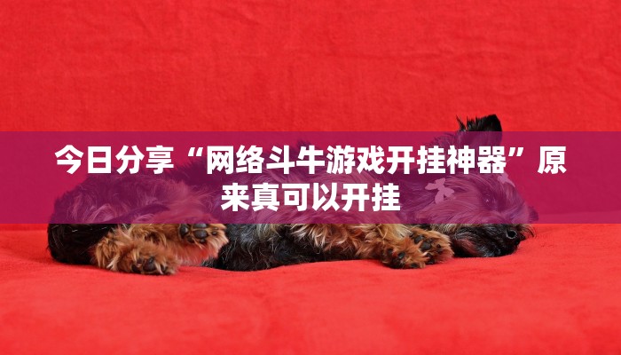 今日分享“网络斗牛游戏开挂神器”原来真可以开挂