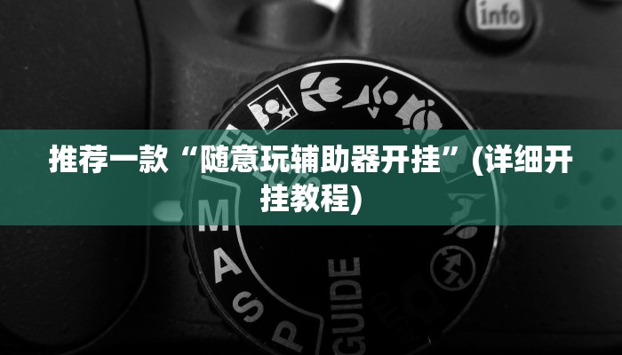推荐一款“随意玩辅助器开挂”(详细开挂教程)