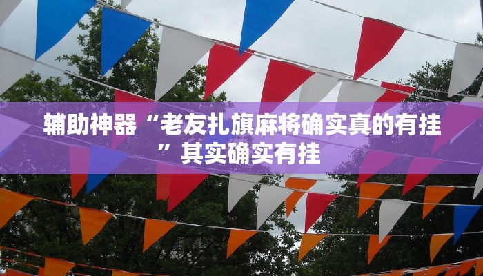 辅助神器“老友扎旗麻将确实真的有挂”其实确实有挂 