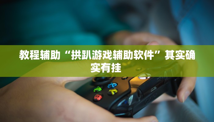 教程辅助“拱趴游戏辅助软件”其实确实有挂 