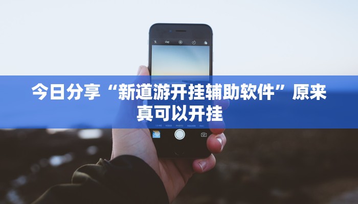今日分享“新道游开挂辅助软件”原来真可以开挂