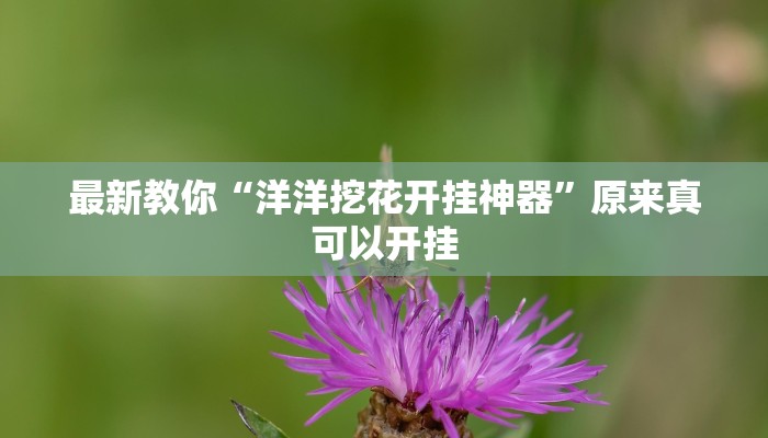 最新教你“洋洋挖花开挂神器”原来真可以开挂