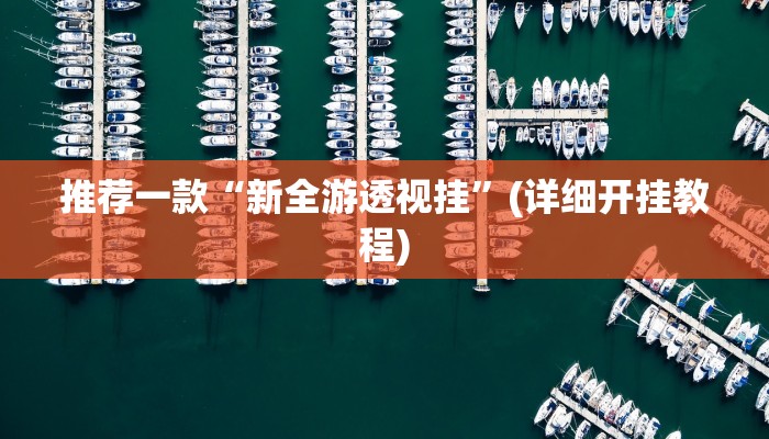 推荐一款“新全游透视挂”(详细开挂教程)