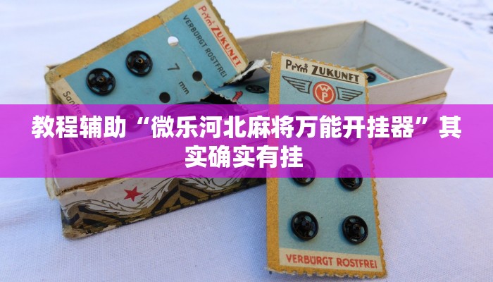 教程辅助“微乐河北麻将万能开挂器”其实确实有挂 