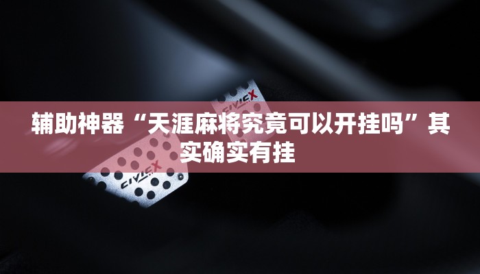 辅助神器“天涯麻将究竟可以开挂吗”其实确实有挂 