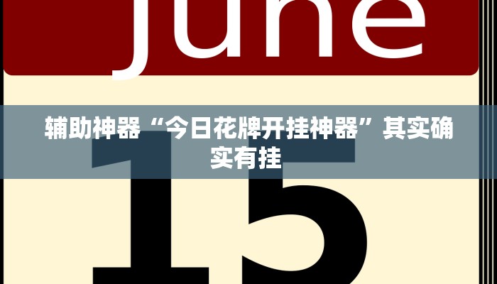 辅助神器“今日花牌开挂神器”其实确实有挂 