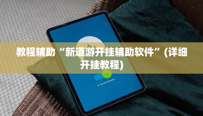 教程辅助“新道游开挂辅助软件”(详细开挂教程)
