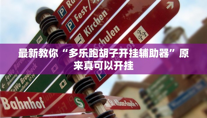 最新教你“多乐跑胡子开挂辅助器”原来真可以开挂