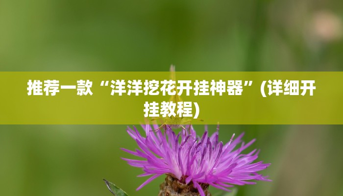 推荐一款“洋洋挖花开挂神器”(详细开挂教程)