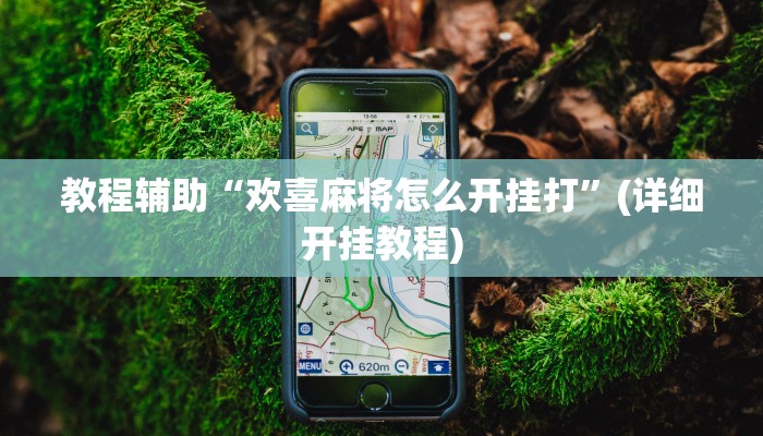教程辅助“欢喜麻将怎么开挂打”(详细开挂教程)