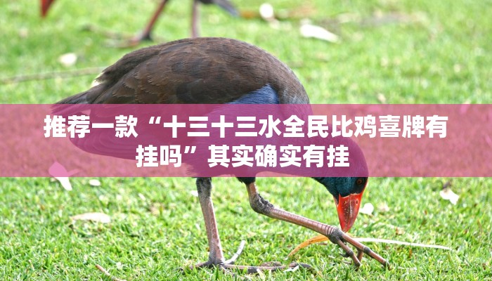 推荐一款“十三十三水全民比鸡喜牌有挂吗”其实确实有挂 