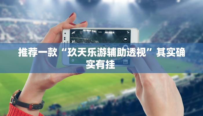 今日分享“同城游510k开挂辅助”原来真可以开挂