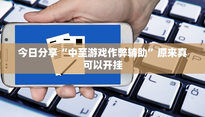 今日分享“中至游戏作弊辅助”原来真可以开挂