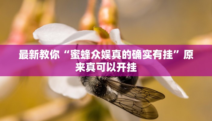 最新教你“蜜蜂众娱真的确实有挂”原来真可以开挂