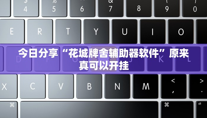 今日分享“花城牌舍辅助器软件”原来真可以开挂