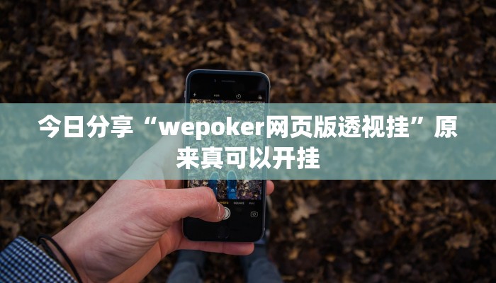 今日分享“wepoker网页版透视挂”原来真可以开挂