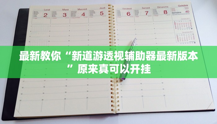 最新教你“新道游透视辅助器最新版本”原来真可以开挂