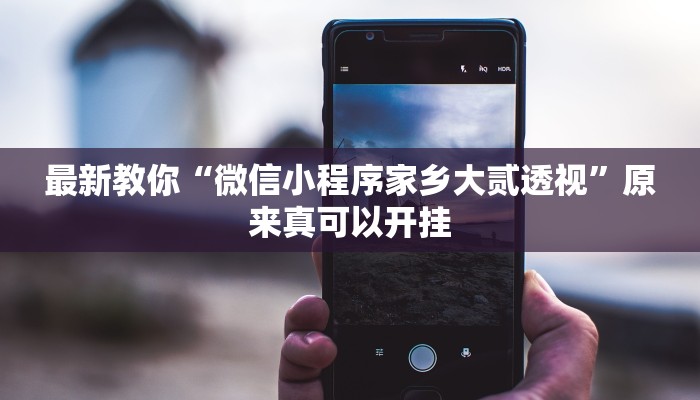最新教你“微信小程序家乡大贰透视”原来真可以开挂