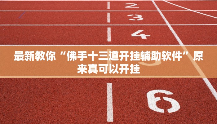 最新教你“佛手十三道开挂辅助软件”原来真可以开挂