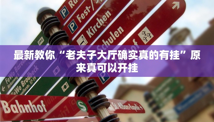 最新教你“老夫子大厅确实真的有挂”原来真可以开挂